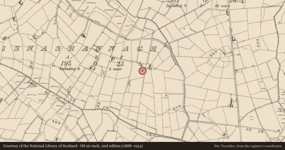 Ordnance Survey six-inch map, 2nd edition (1888–1915) covering the location of Ringfort - rath, Lisnashannagh, County Monaghan, with a pin at the register's coordinates
