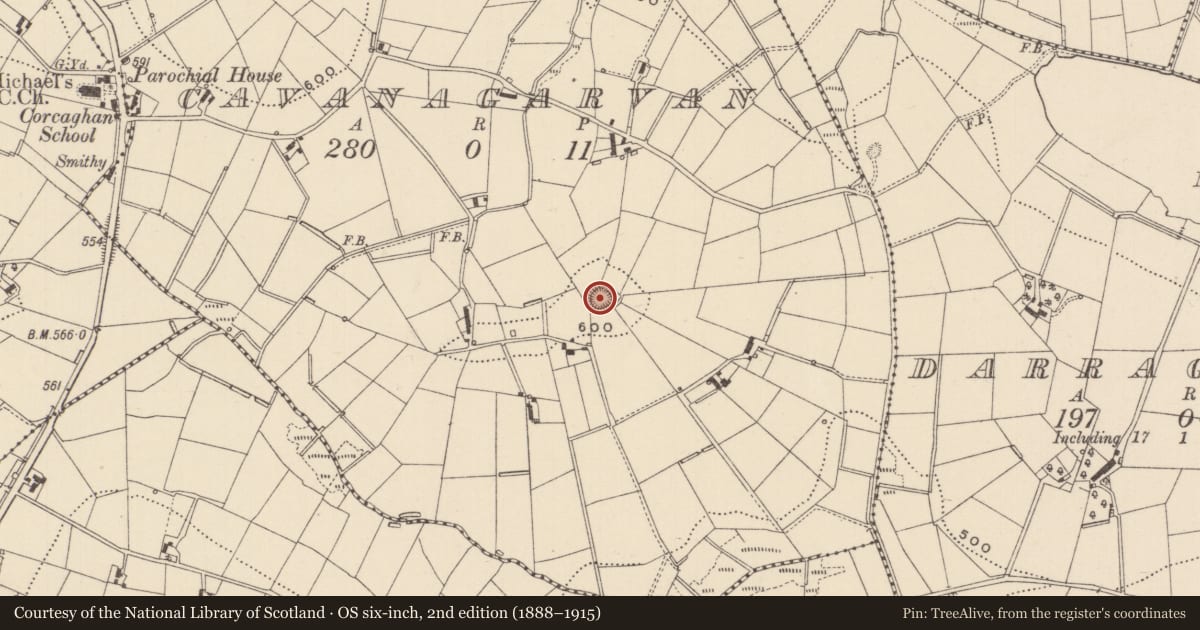 Ordnance Survey six-inch map, 2nd edition (1888–1915) covering the location of Ringfort - rath, Cavanagarvan, County Monaghan, with a pin at the register's coordinates