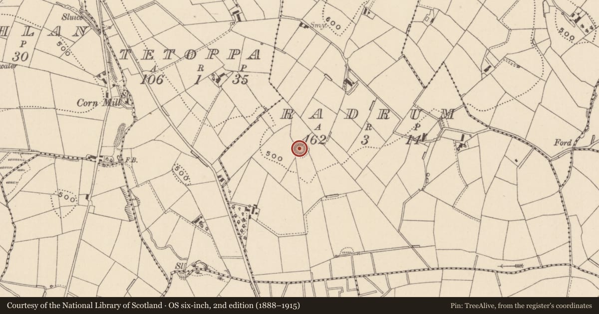 Ordnance Survey six-inch map, 2nd edition (1888–1915) covering the location of Ringfort - rath, Radrum, County Monaghan, with a pin at the register's coordinates