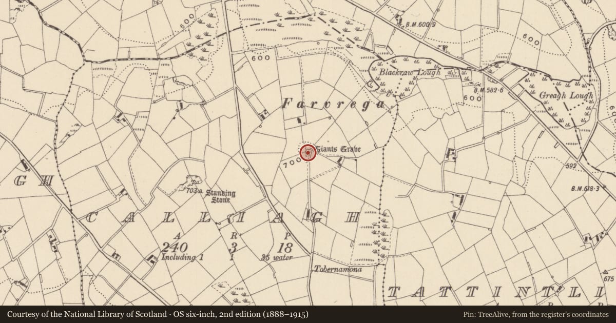 Ordnance Survey six-inch map, 2nd edition (1888–1915) covering the location of Megalithic tomb - wedge tomb, Calliagh, County Monaghan, with a pin at the register's coordinates