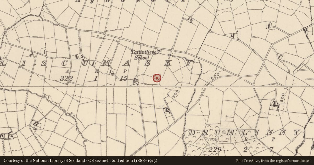 Ordnance Survey six-inch map, 2nd edition (1888–1915) covering the location of Ringfort - rath, Liscumasky, County Monaghan, with a pin at the register's coordinates