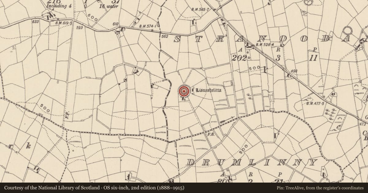 Ordnance Survey six-inch map, 2nd edition (1888–1915) covering the location of Ringfort - rath, Stranoodan, County Monaghan, with a pin at the register's coordinates