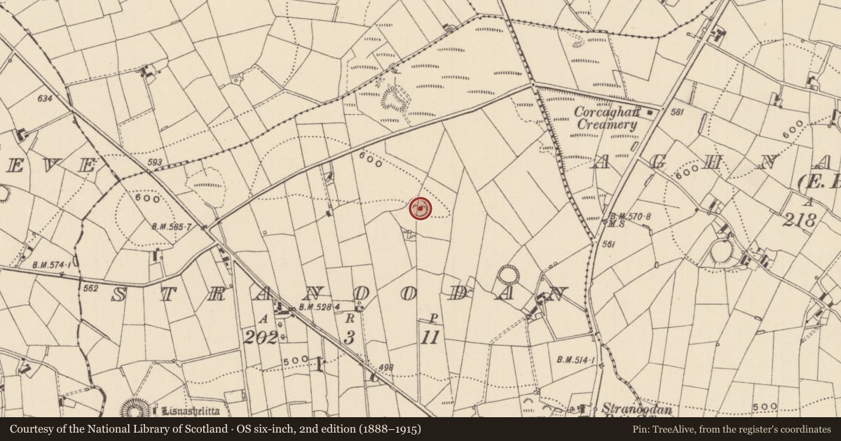 Ordnance Survey six-inch map, 2nd edition (1888–1915) covering the location of Ringfort - rath, Stranoodan, County Monaghan, with a pin at the register's coordinates