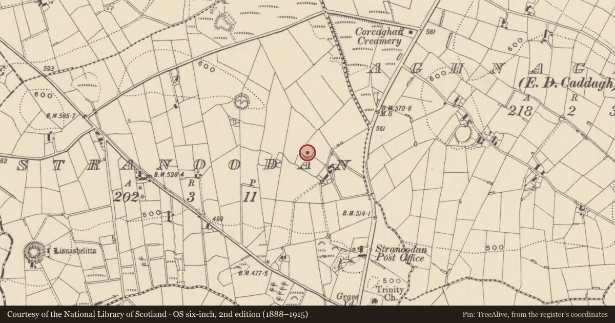 Ordnance Survey six-inch map, 2nd edition (1888–1915) covering the location of Ringfort - rath, Stranoodan, County Monaghan, with a pin at the register's coordinates