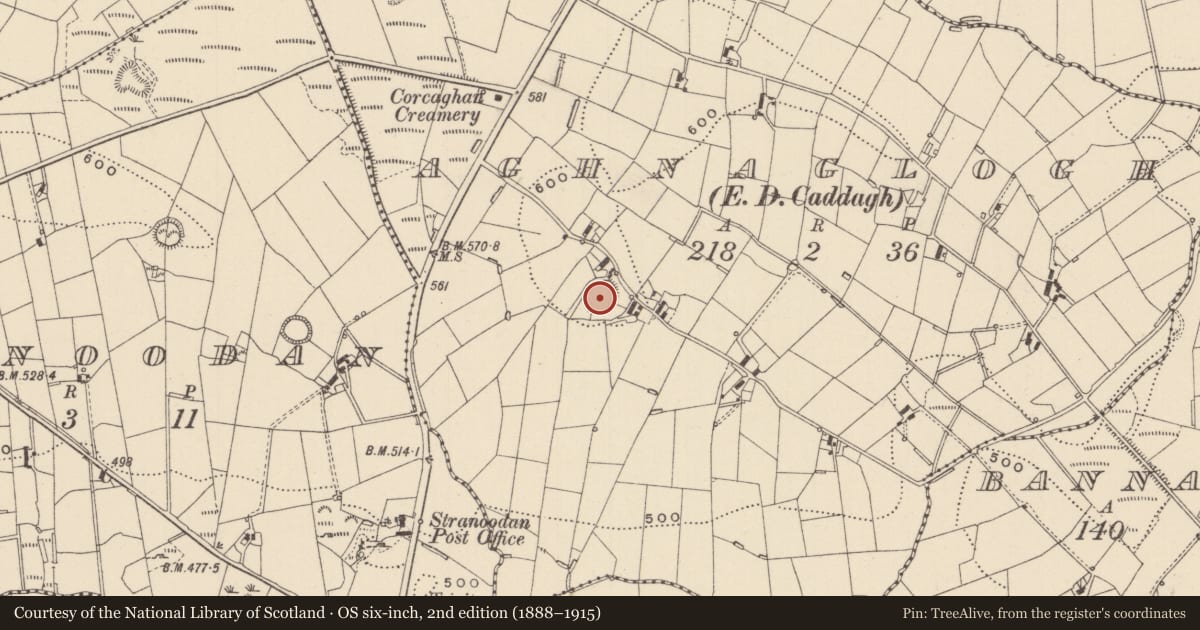 Ordnance Survey six-inch map, 2nd edition (1888–1915) covering the location of Ringfort - rath, Aghnaglogh (Monaghan by, County Monaghan, with a pin at the register's coordinates