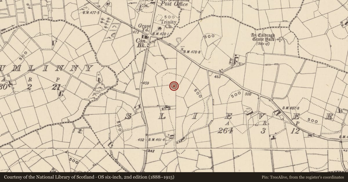Ordnance Survey six-inch map, 2nd edition (1888–1915) covering the location of Ringfort - rath, Slieveroe, County Monaghan, with a pin at the register's coordinates