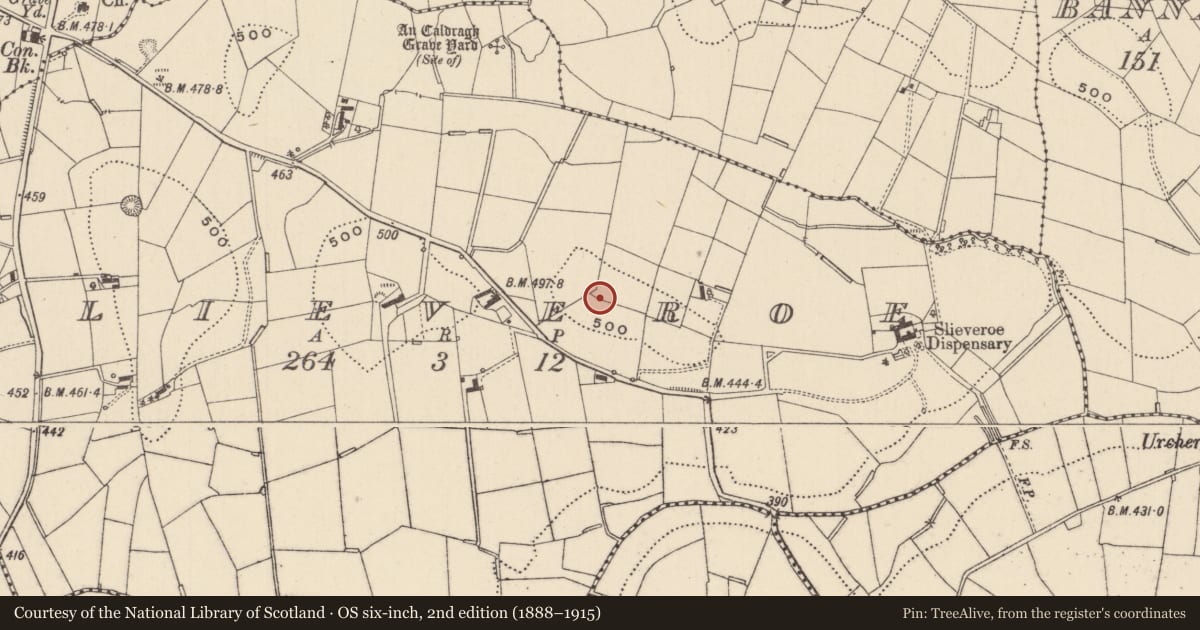 Ordnance Survey six-inch map, 2nd edition (1888–1915) covering the location of Ringfort - rath, Slieveroe, County Monaghan, with a pin at the register's coordinates