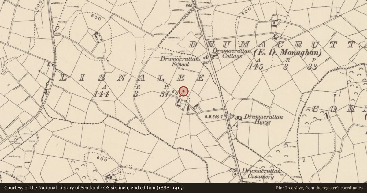 Ordnance Survey six-inch map, 2nd edition (1888–1915) covering the location of Ringfort - rath, Lisnalee, County Monaghan, with a pin at the register's coordinates