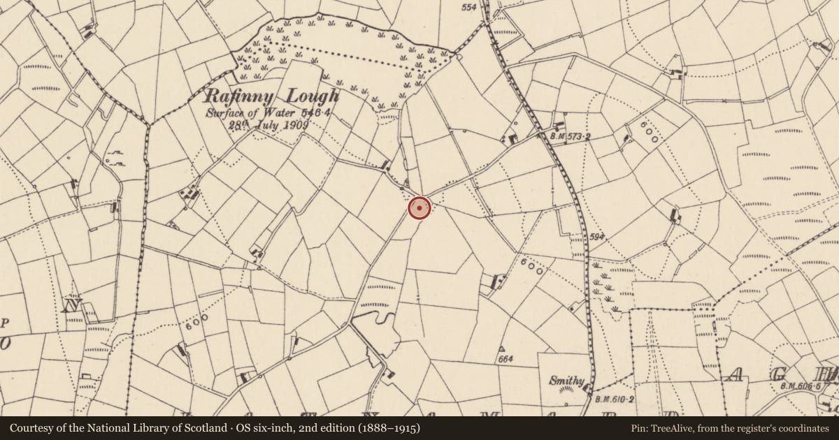 Ordnance Survey six-inch map, 2nd edition (1888–1915) covering the location of Earthwork, Latnamard, County Monaghan, with a pin at the register's coordinates