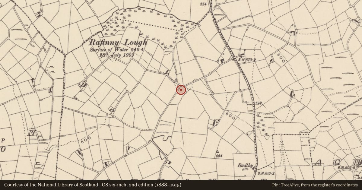 Ordnance Survey six-inch map, 2nd edition (1888–1915) covering the location of Headstone, Latnamard, County Monaghan, with a pin at the register's coordinates