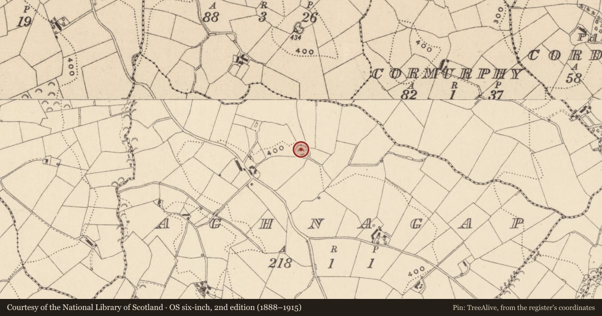 Ordnance Survey six-inch map, 2nd edition (1888–1915) covering the location of Ringfort - rath, Aghnagap (Monaghan by, County Monaghan, with a pin at the register's coordinates