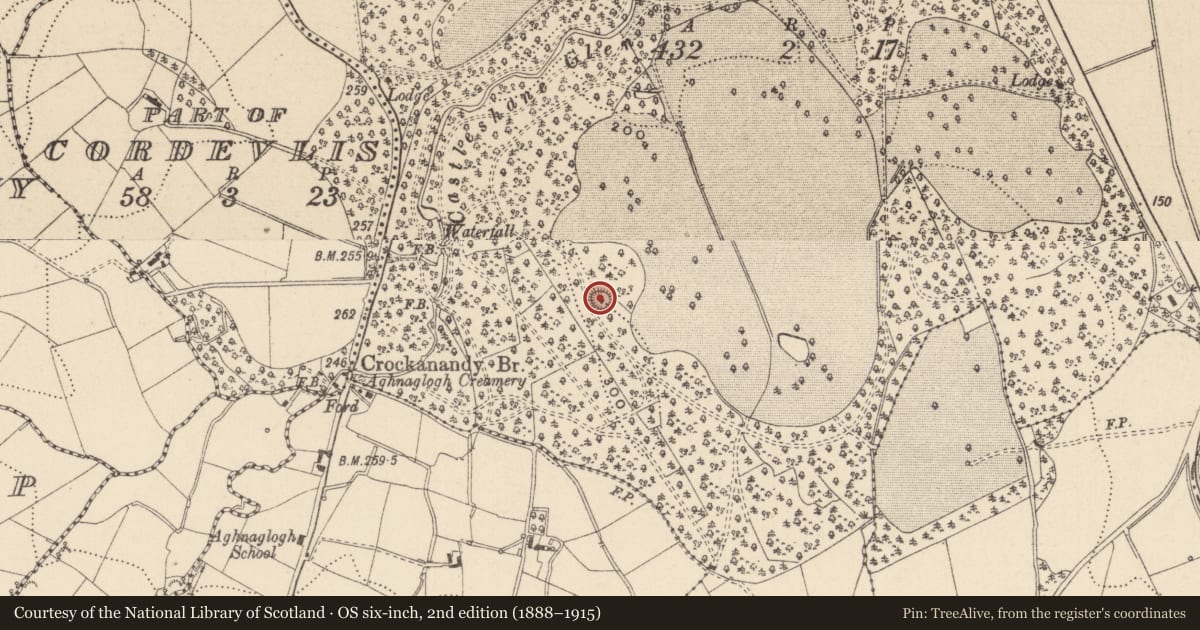 Ordnance Survey six-inch map, 2nd edition (1888–1915) covering the location of Ringfort - rath, Castleshane Demesne, County Monaghan, with a pin at the register's coordinates