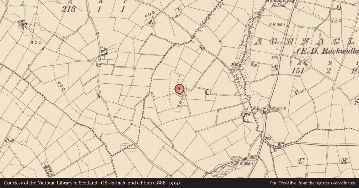 Ordnance Survey six-inch map, 2nd edition (1888–1915) covering the location of Ringfort - rath, Rackwallace, County Monaghan, with a pin at the register's coordinates