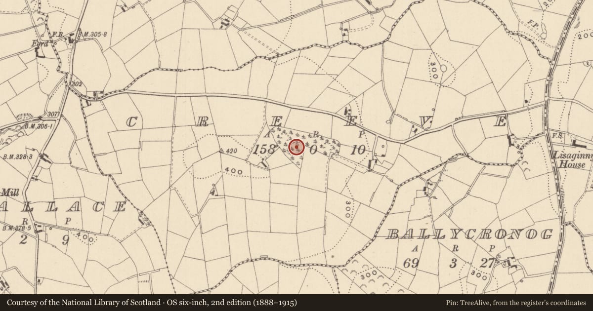 Ordnance Survey six-inch map, 2nd edition (1888–1915) covering the location of Ringfort - rath, Creeve, County Monaghan, with a pin at the register's coordinates