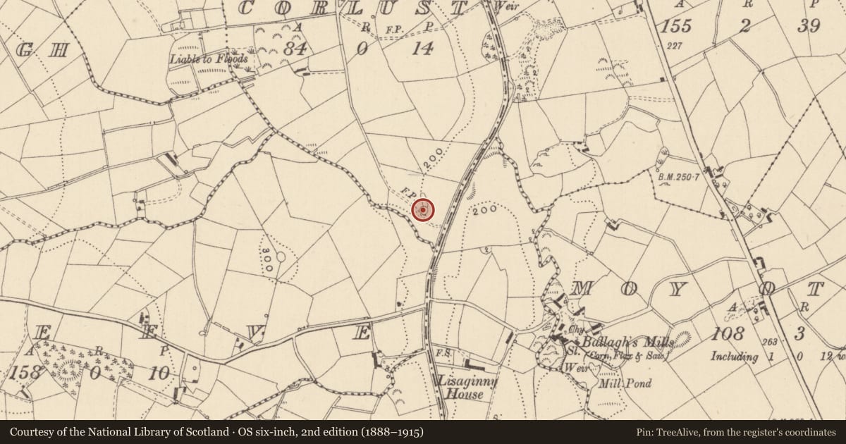 Ordnance Survey six-inch map, 2nd edition (1888–1915) covering the location of Enclosure, Corlust, County Monaghan, with a pin at the register's coordinates