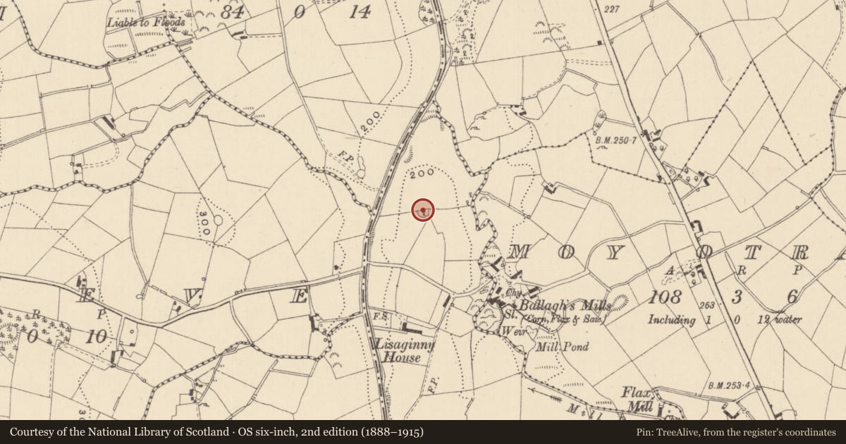 Ordnance Survey six-inch map, 2nd edition (1888–1915) covering the location of Ringfort - rath, Lisaginny, County Monaghan, with a pin at the register's coordinates