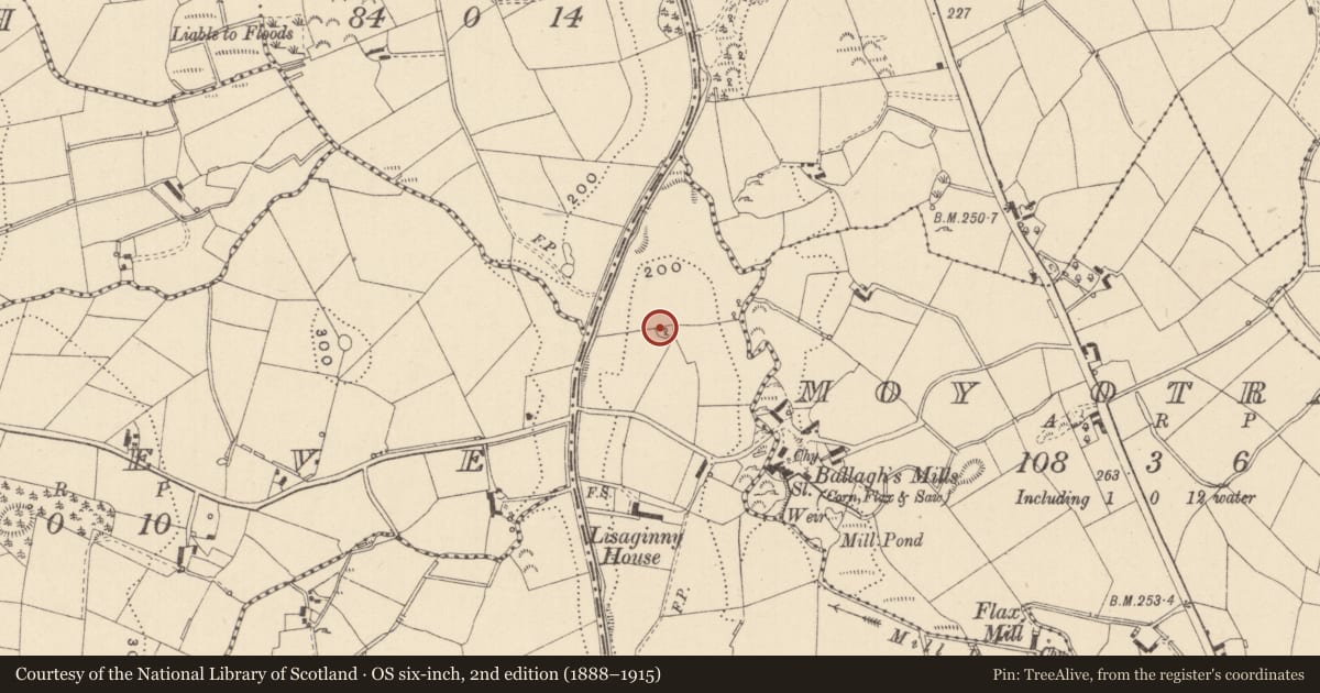 Ordnance Survey six-inch map, 2nd edition (1888–1915) covering the location of Souterrain, Lisaginny, County Monaghan, with a pin at the register's coordinates