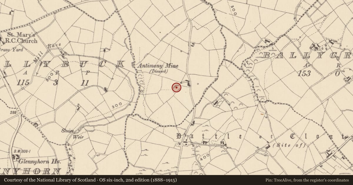 Ordnance Survey six-inch map, 2nd edition (1888–1915) covering the location of Ringfort - rath, Lisglassan, County Monaghan, with a pin at the register's coordinates