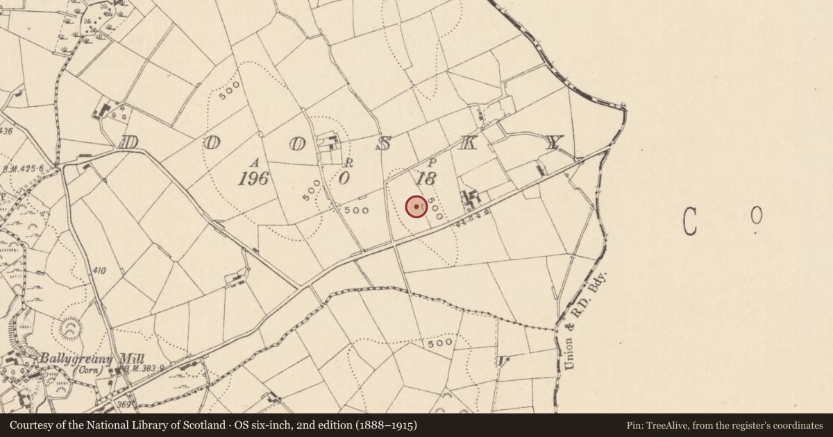 Ordnance Survey six-inch map, 2nd edition (1888–1915) covering the location of Ringfort - rath, Doosky, County Monaghan, with a pin at the register's coordinates