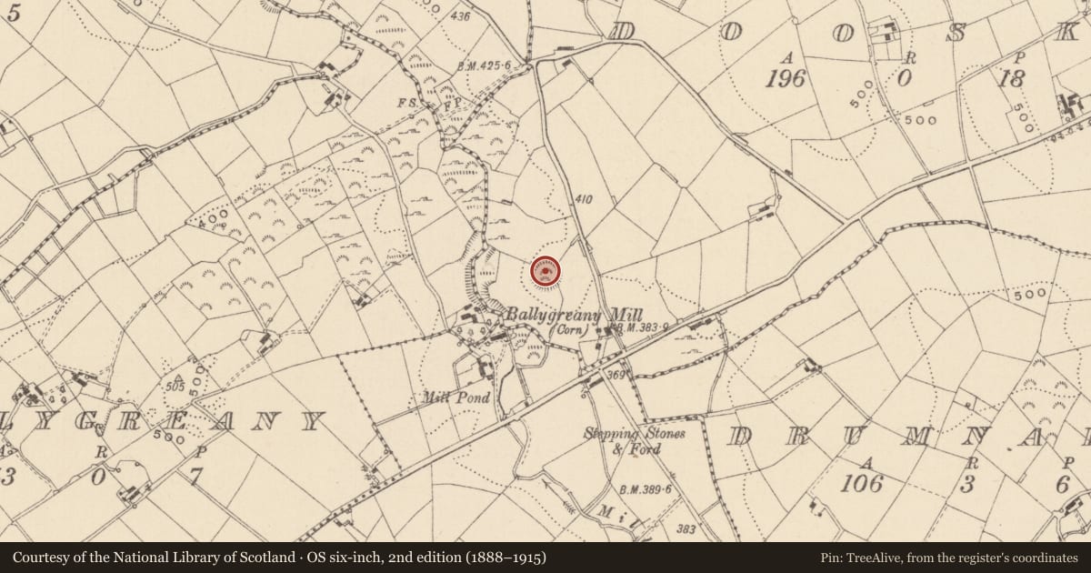 Ordnance Survey six-inch map, 2nd edition (1888–1915) covering the location of Ringfort - rath, Doosky, County Monaghan, with a pin at the register's coordinates