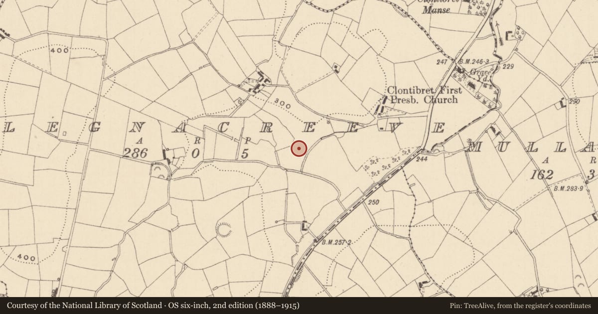 Ordnance Survey six-inch map, 2nd edition (1888–1915) covering the location of Ringfort - rath, Legnacreeve, County Monaghan, with a pin at the register's coordinates