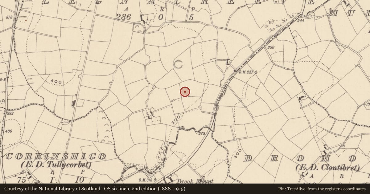 Ordnance Survey six-inch map, 2nd edition (1888–1915) covering the location of Ringfort - rath, Legnacreeve, County Monaghan, with a pin at the register's coordinates