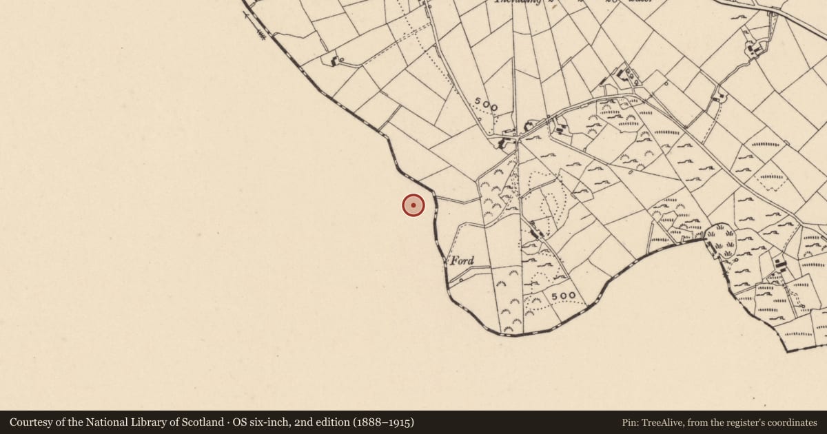 Ordnance Survey six-inch map, 2nd edition (1888–1915) covering the location of Ringfort - cashel, Lemgare, County Monaghan, with a pin at the register's coordinates