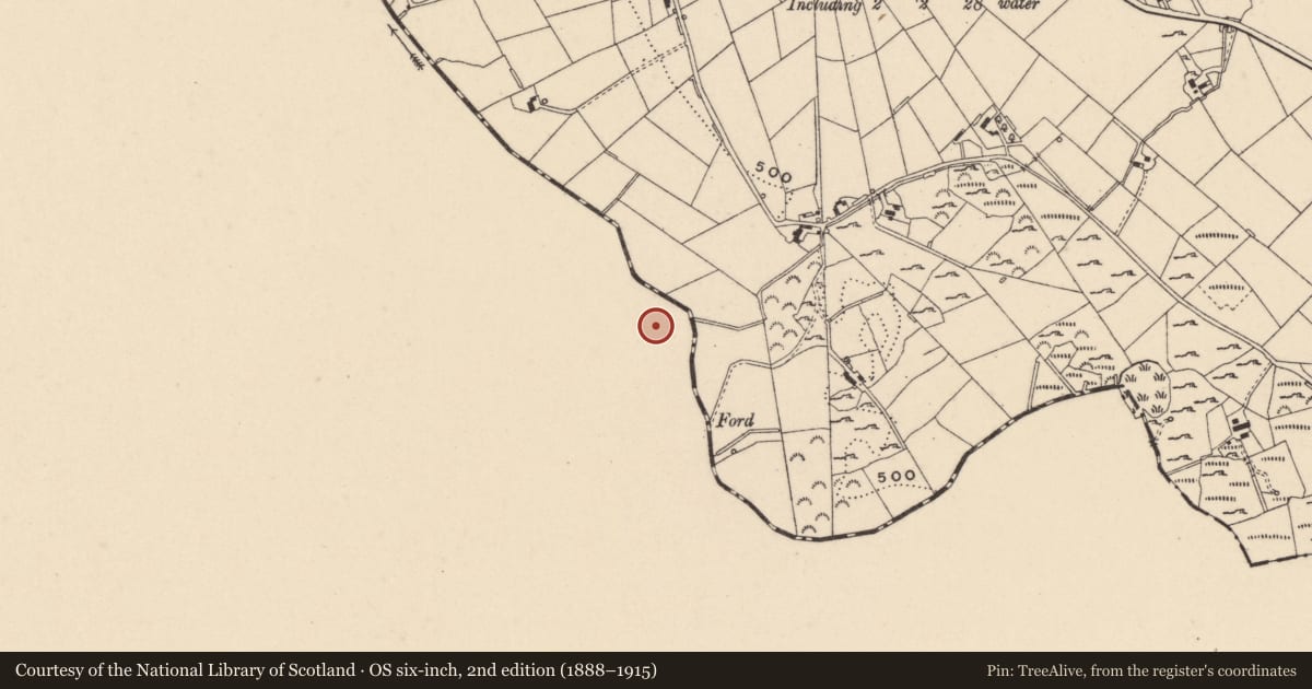 Ordnance Survey six-inch map, 2nd edition (1888–1915) covering the location of House - indeterminate date, Lemgare, County Monaghan, with a pin at the register's coordinates