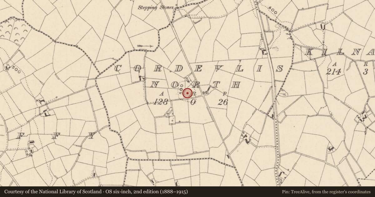 Ordnance Survey six-inch map, 2nd edition (1888–1915) covering the location of Ringfort - rath, Cordevlis North, County Monaghan, with a pin at the register's coordinates