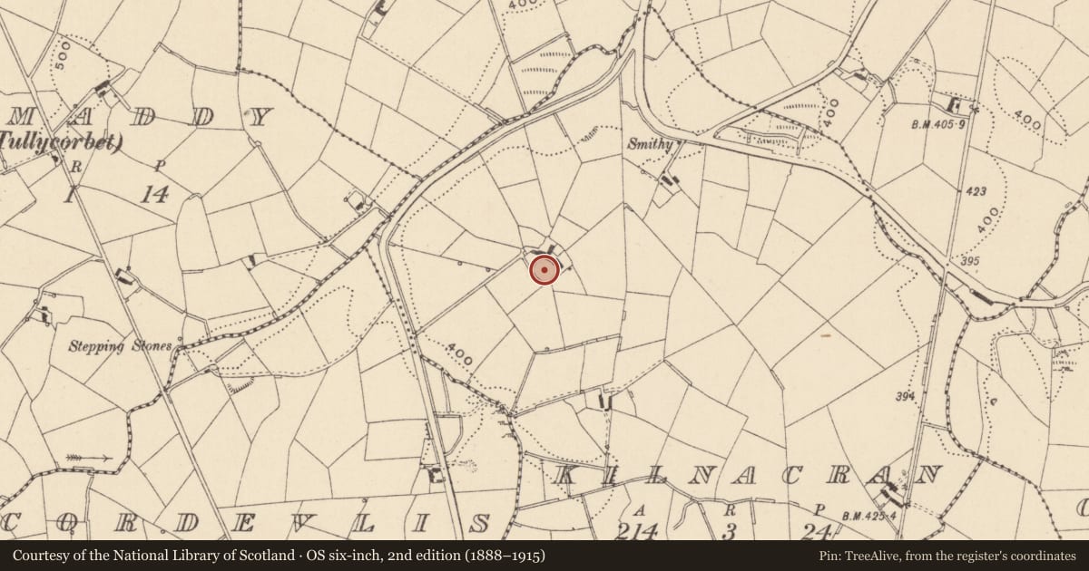 Ordnance Survey six-inch map, 2nd edition (1888–1915) covering the location of Ringfort - rath, Kilnacran, County Monaghan, with a pin at the register's coordinates