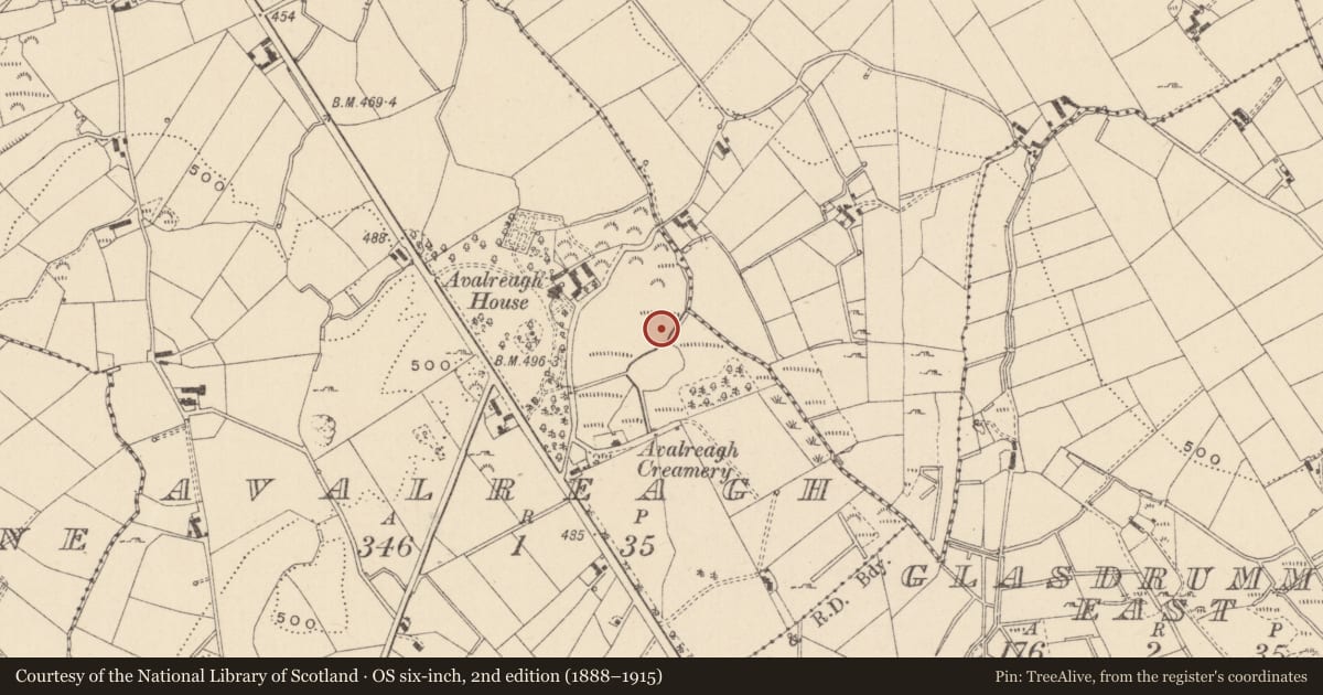 Ordnance Survey six-inch map, 2nd edition (1888–1915) covering the location of Crannog, Avalreagh, County Monaghan, with a pin at the register's coordinates