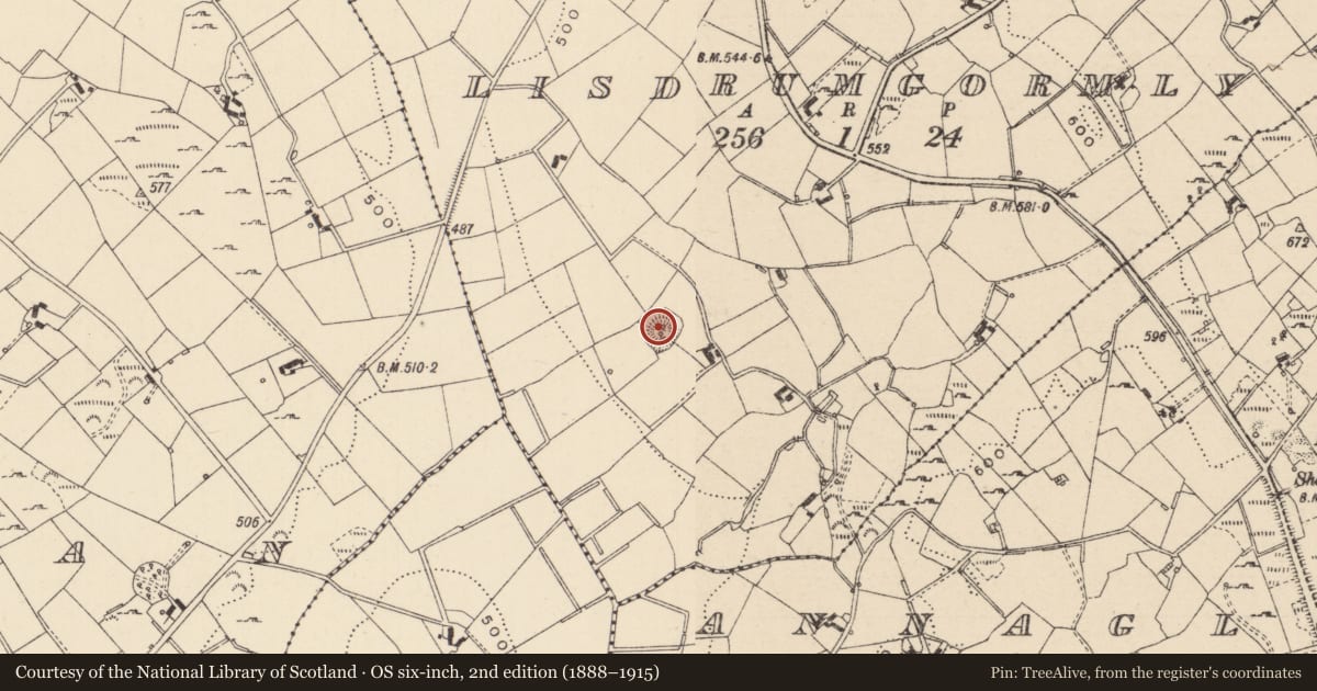 Ordnance Survey six-inch map, 2nd edition (1888–1915) covering the location of Ringfort - rath, Lisdrumgormly, County Monaghan, with a pin at the register's coordinates