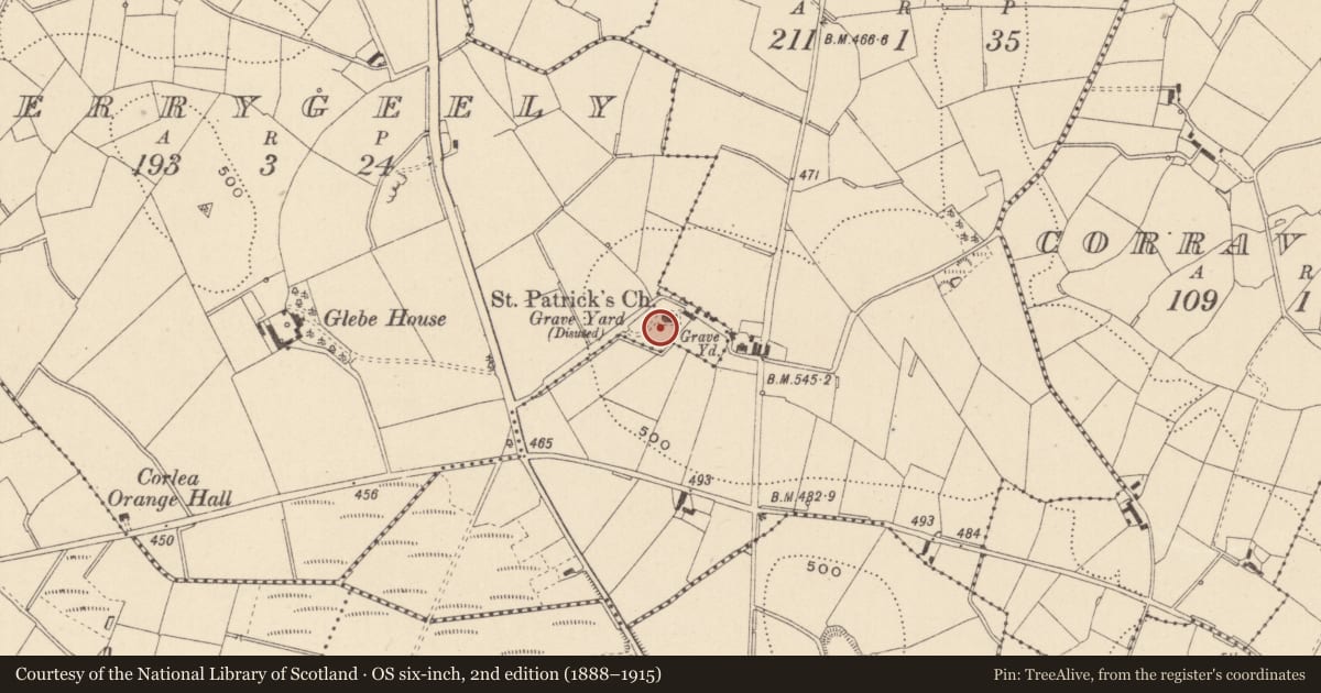 Ordnance Survey six-inch map, 2nd edition (1888–1915) covering the location of Graveyard, Terrygeely, County Monaghan, with a pin at the register's coordinates