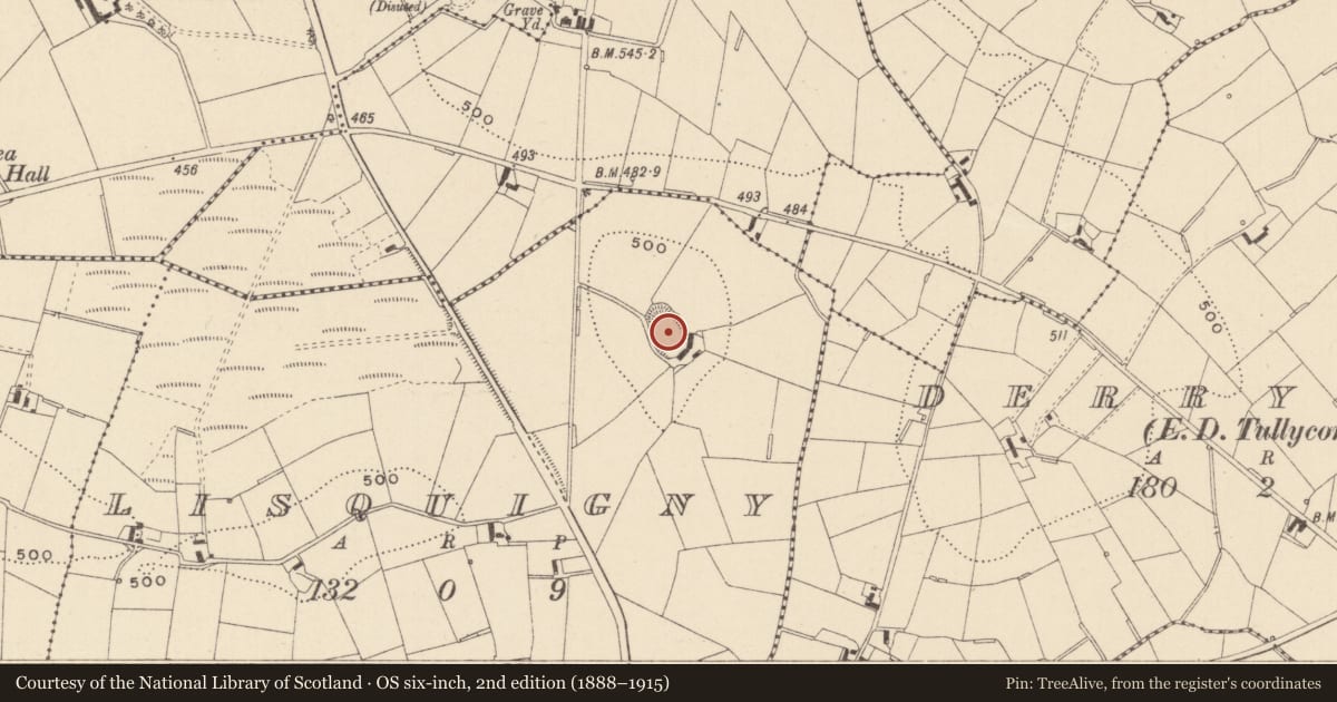 Ordnance Survey six-inch map, 2nd edition (1888–1915) covering the location of Ringfort - rath, Lisquigny, County Monaghan, with a pin at the register's coordinates