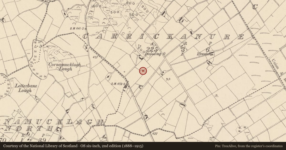 Ordnance Survey six-inch map, 2nd edition (1888–1915) covering the location of Ringfort - rath, Carrickanure, County Monaghan, with a pin at the register's coordinates