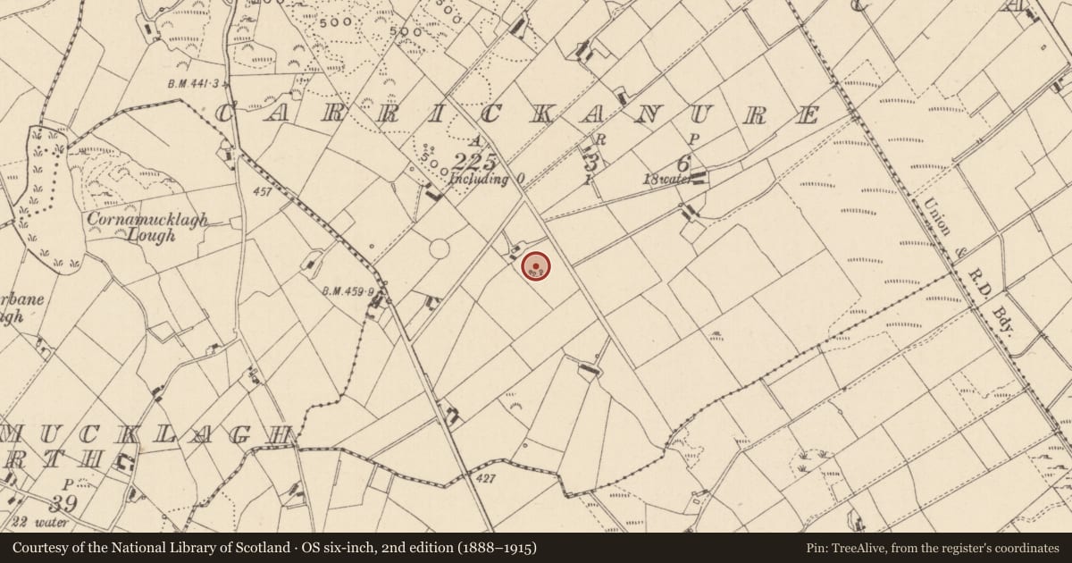 Ordnance Survey six-inch map, 2nd edition (1888–1915) covering the location of Burial ground, Carrickanure, County Monaghan, with a pin at the register's coordinates