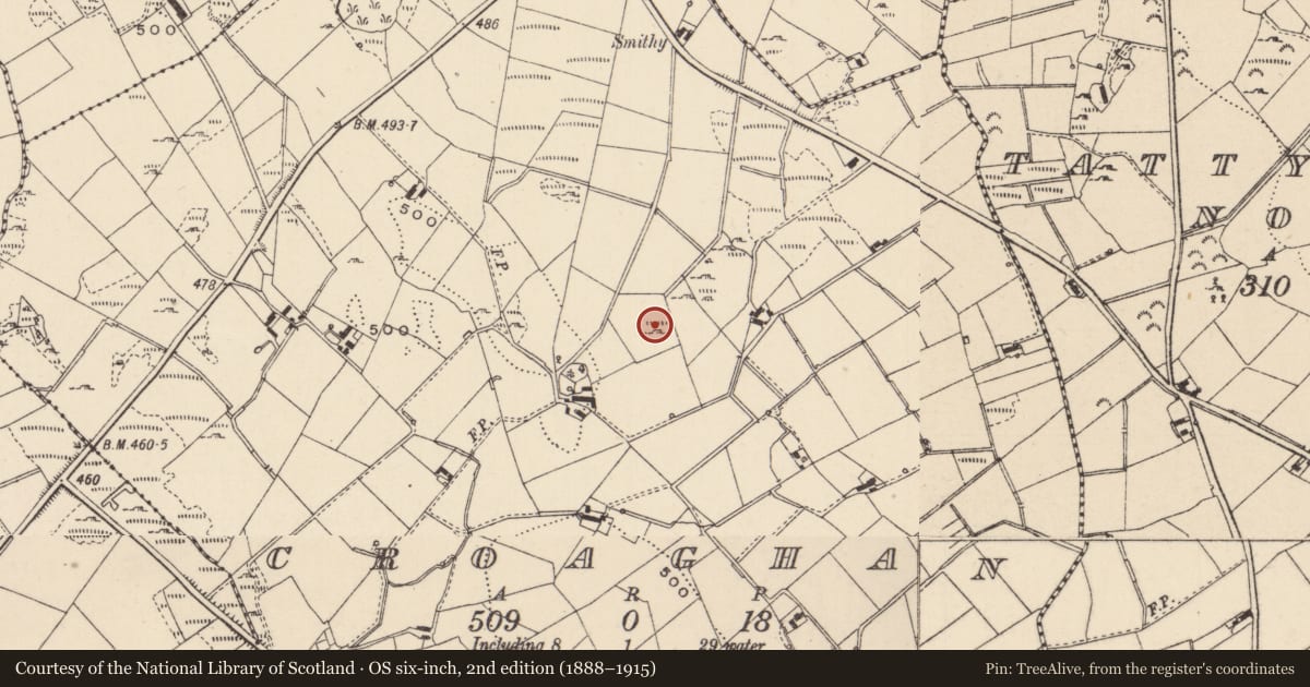 Ordnance Survey six-inch map, 2nd edition (1888–1915) covering the location of Church, Croaghan, County Monaghan, with a pin at the register's coordinates