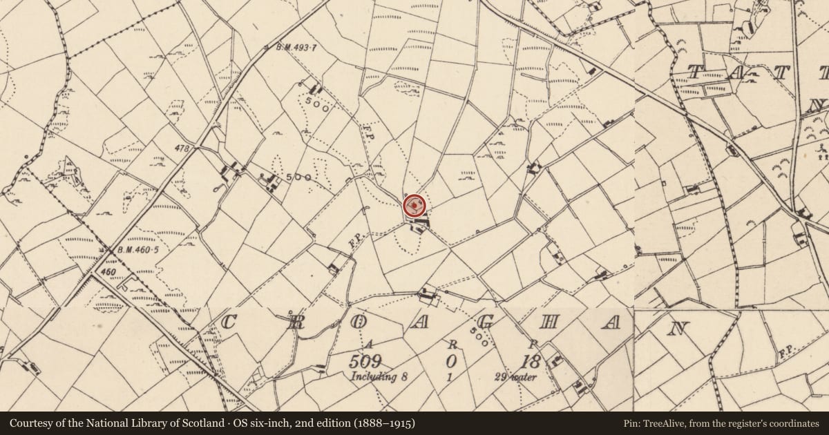 Ordnance Survey six-inch map, 2nd edition (1888–1915) covering the location of Megalithic tomb - court tomb, Croaghan, County Monaghan, with a pin at the register's coordinates