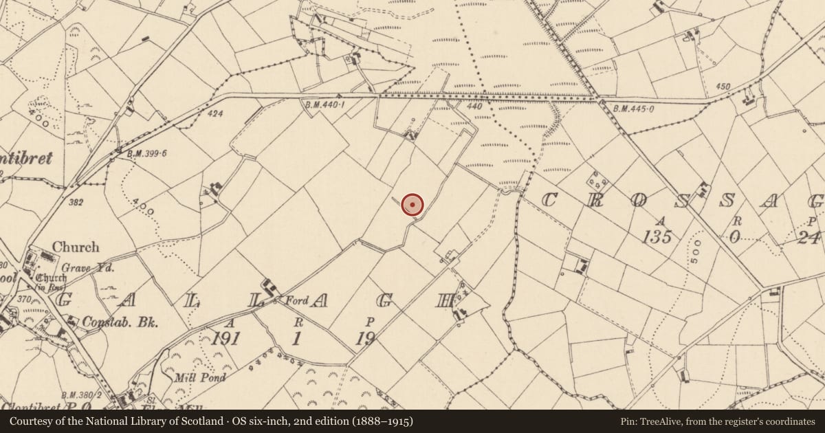 Ordnance Survey six-inch map, 2nd edition (1888–1915) covering the location of Battlefield, Gallagh, County Monaghan, with a pin at the register's coordinates