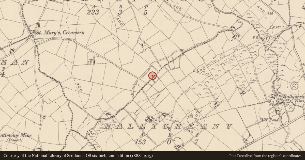 Ordnance Survey six-inch map, 2nd edition (1888–1915) covering the location of Crannog, Ballygreany, Bryanlitter, County Monaghan, with a pin at the register's coordinates
