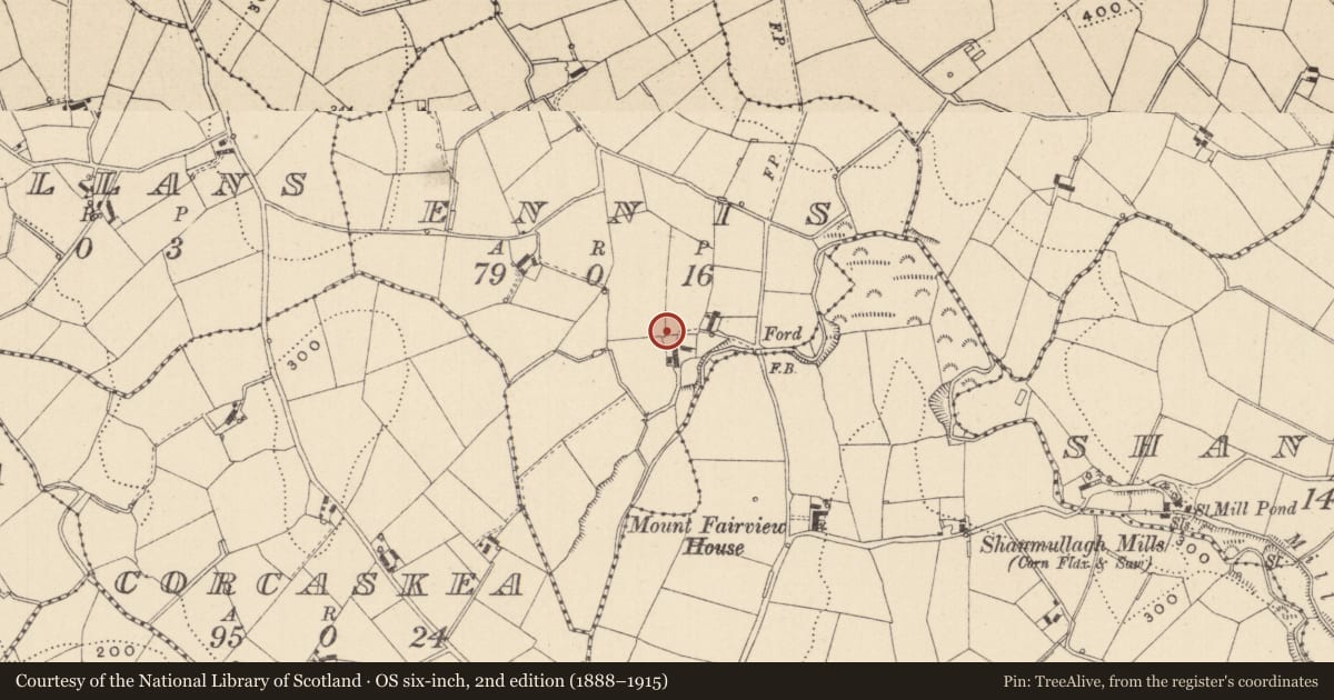 Ordnance Survey six-inch map, 2nd edition (1888–1915) covering the location of Souterrain, Ennis, County Monaghan, with a pin at the register's coordinates