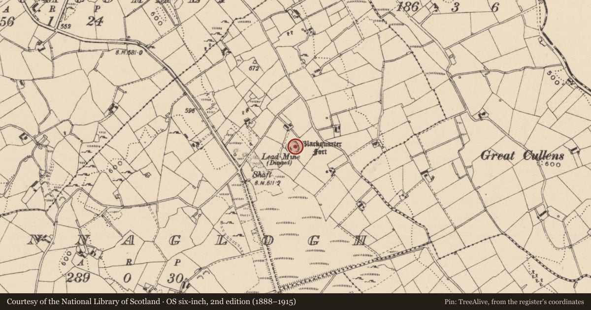 Ordnance Survey six-inch map, 2nd edition (1888–1915) covering the location of Ringfort - rath, Annaglogh, County Monaghan, with a pin at the register's coordinates