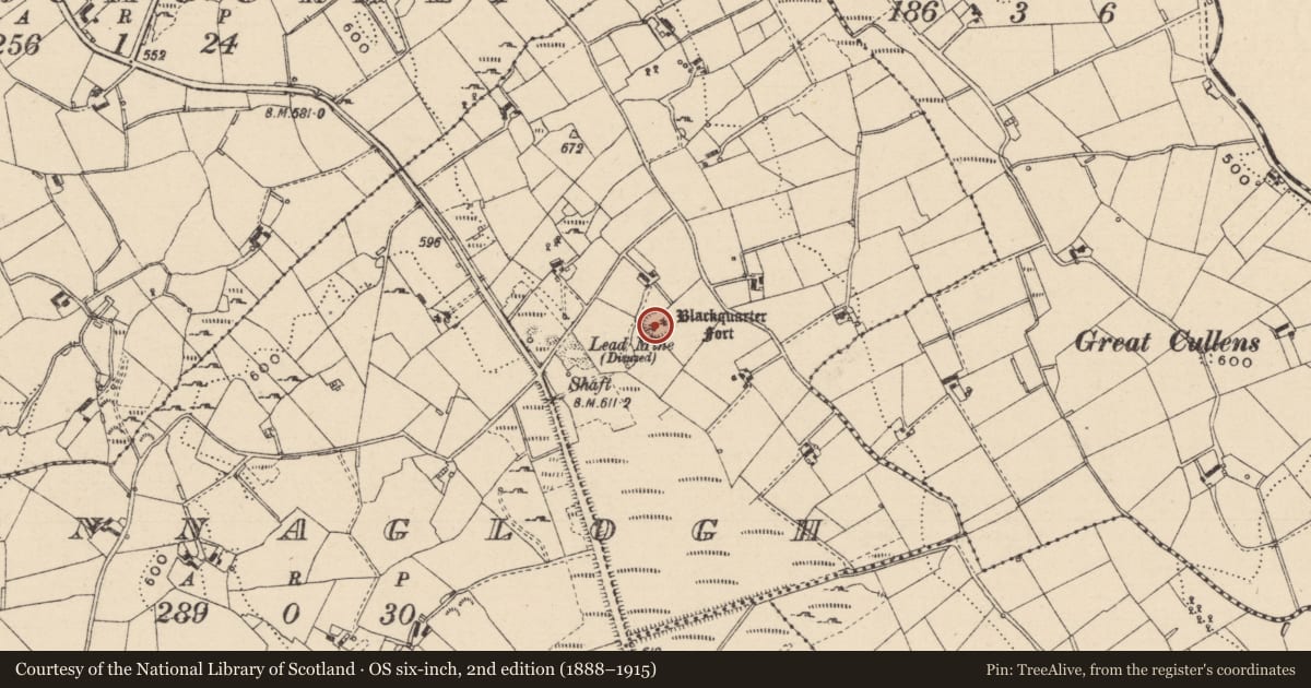 Ordnance Survey six-inch map, 2nd edition (1888–1915) covering the location of Souterrain, Annaglogh, County Monaghan, with a pin at the register's coordinates