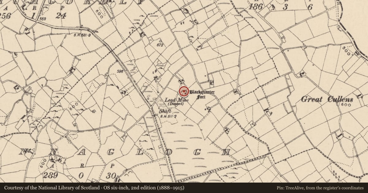 Ordnance Survey six-inch map, 2nd edition (1888–1915) covering the location of Hut site, Annaglogh, County Monaghan, with a pin at the register's coordinates