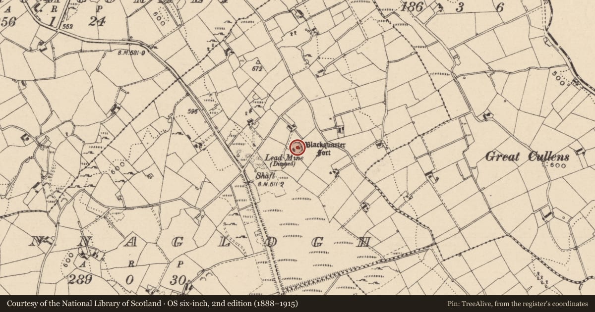 Ordnance Survey six-inch map, 2nd edition (1888–1915) covering the location of Hut site, Annaglogh, County Monaghan, with a pin at the register's coordinates