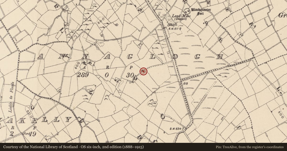 Ordnance Survey six-inch map, 2nd edition (1888–1915) covering the location of Ringfort - cashel, Annaglogh, County Monaghan, with a pin at the register's coordinates
