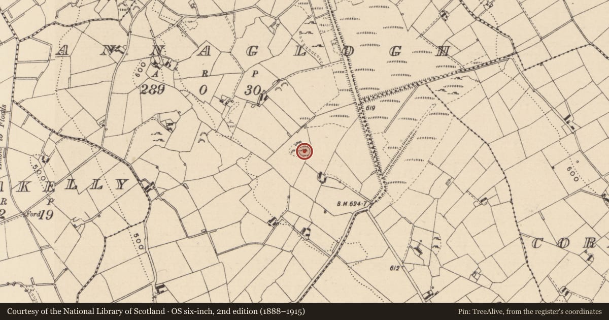 Ordnance Survey six-inch map, 2nd edition (1888–1915) covering the location of Ringfort - rath, Annaglogh, County Monaghan, with a pin at the register's coordinates