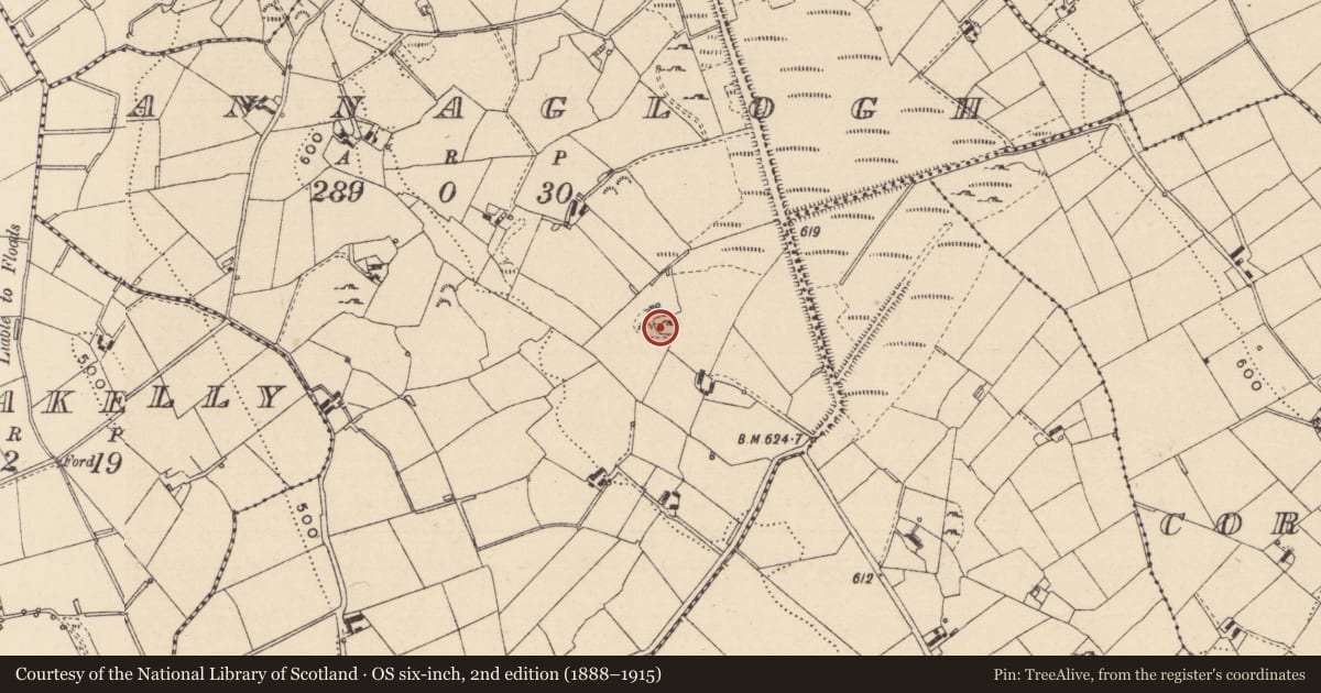 Ordnance Survey six-inch map, 2nd edition (1888–1915) covering the location of Enclosure, Annaglogh, County Monaghan, with a pin at the register's coordinates