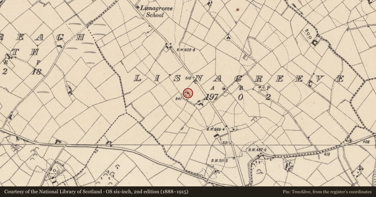 Ordnance Survey six-inch map, 2nd edition (1888–1915) covering the location of Ringfort - rath, Lisnagreeve, County Monaghan, with a pin at the register's coordinates