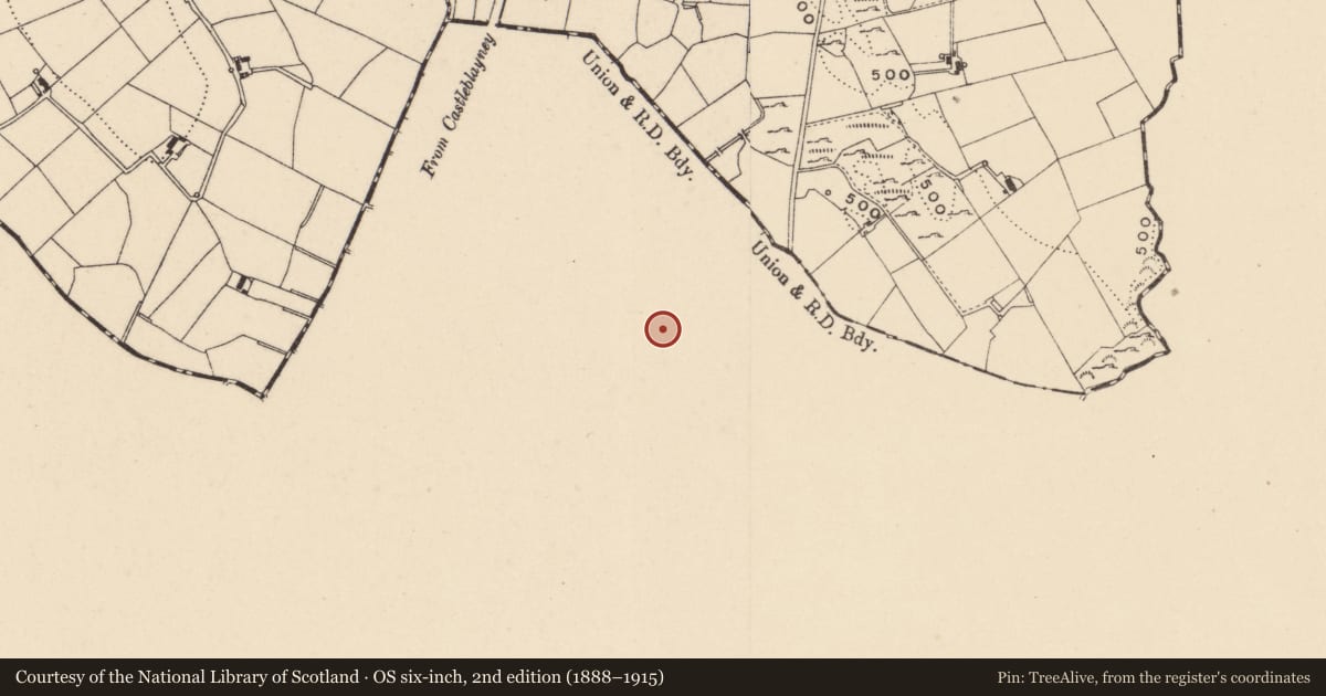 Ordnance Survey six-inch map, 2nd edition (1888–1915) covering the location of Megalithic tomb - unclassified, Tullynagrow, County Monaghan, with a pin at the register's coordinates